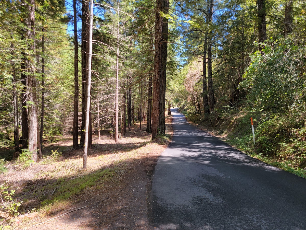 Fort Ross Road Project – Coast Ridge Community Forest